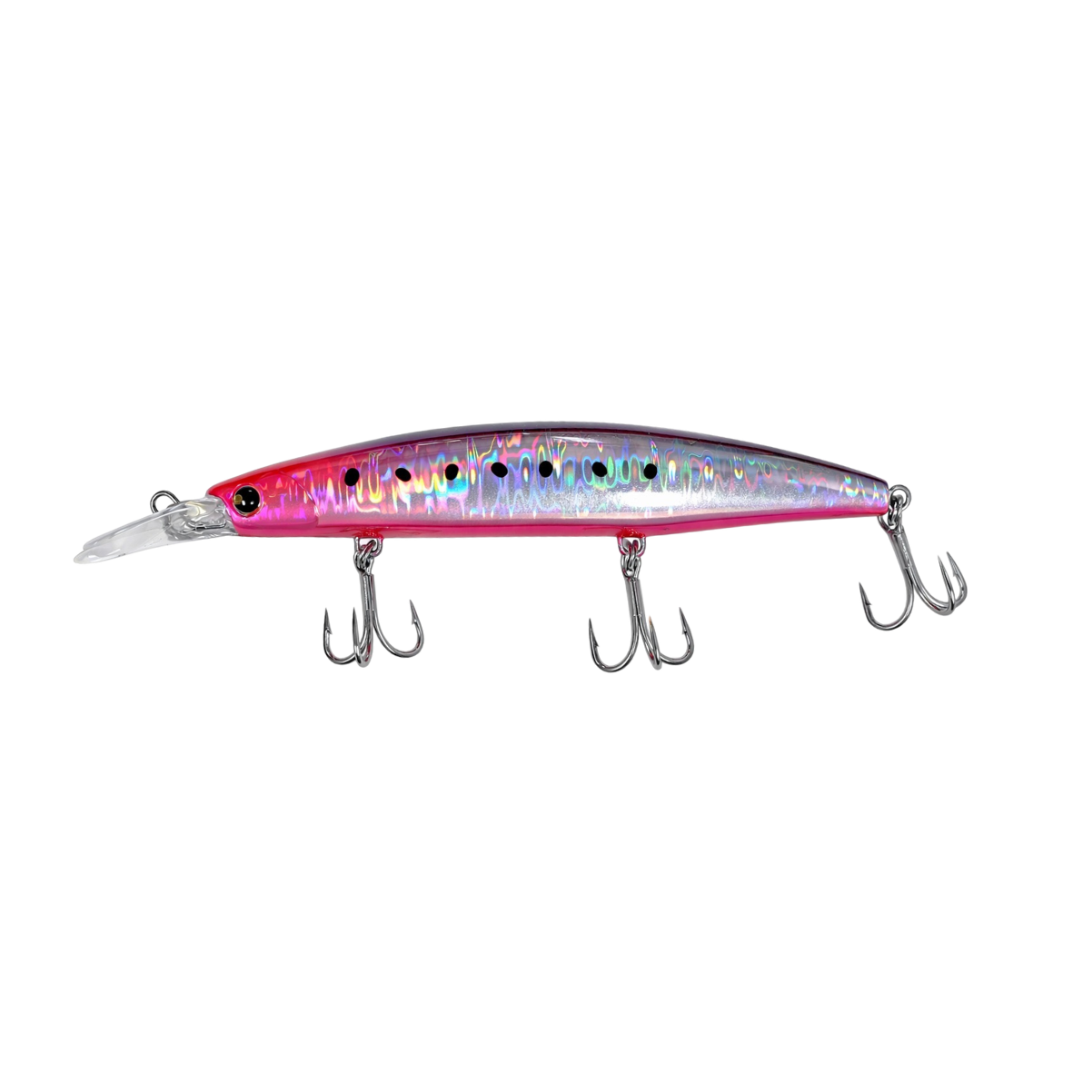 Pink Anchovy